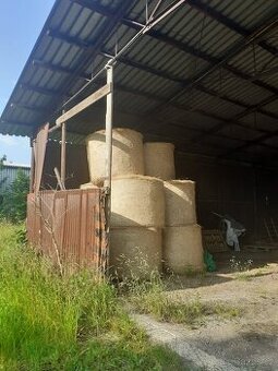 Prodám seno rok výroby 2023 v kulatých balících