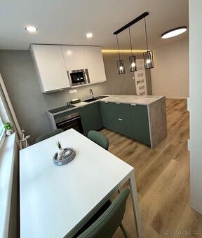 Prodej bytu 2+kk 43 m² Sídliště Plešivec, Český Krumlov