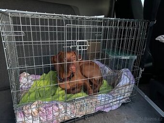 Prodej: Skládací klec pro psa (2 dvířka) – 91x56x63 cm+ čern