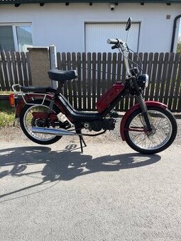 Babetta 210 vínová