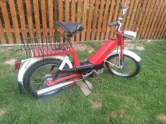 Babeta 207