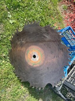 Hanibal 60 cm