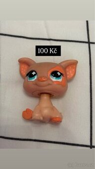 Lps prasátko - 1