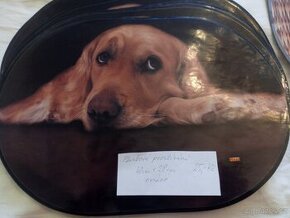 Prostírání 40x28cm kočka ,pes - 1