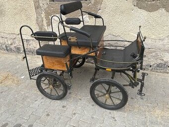 Wagoneta pony
