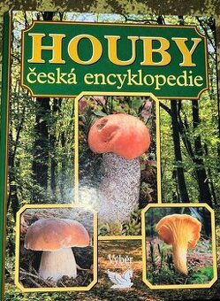 VELKÁ KNIHA HUB