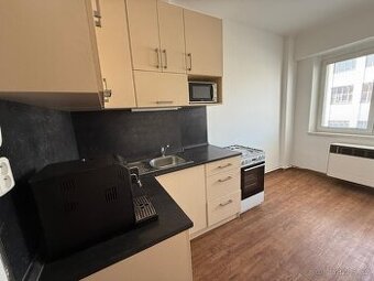 Pronájem bytu 1+1 38 m², apartment to rent - Brno, Mlýnská
