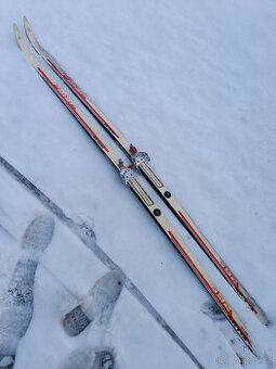 běžky ARTIST Polar + tyčky