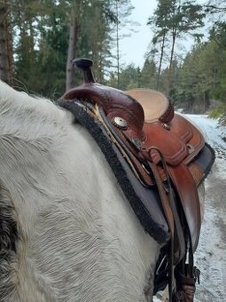 Westernove sedlo Western Import