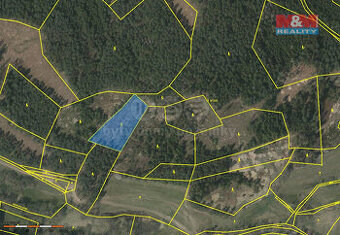Prodej lesa, 4046 m², Přechovice - 1