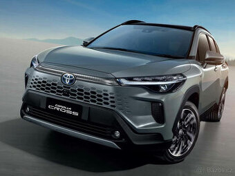 Řidič nebo řidička pěkných nových TAXI vozů (automat)