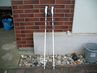 Hůlky na lyže 100cm