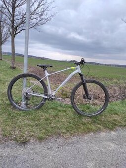 Rock Machine Torrent