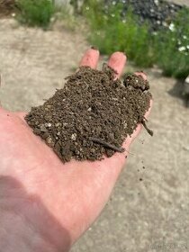 Kompost tříděný, netříděný, prosátá zemina - 1
