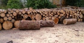 Palivové dřevo - ihned k odběru