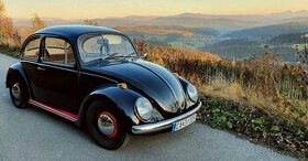 VW Brouk 1300 1971