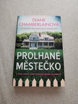 Prolhané městečko - Diane Chamberlain