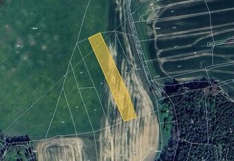 Prodej pole v k.ú. Třebčice a Tojice