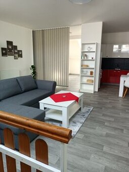 Pronájem velkého bytu 1+kk