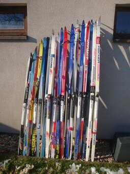 Běžky Fischer, Atomic, s vázáním Salomon SNS Profil - šupiny