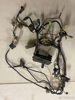 Kompletní kabeláž(jednotka,regulátor atd..)Yamaha tdr 125