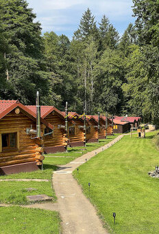 Prodej rekreačního pozemku - 1