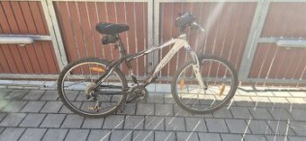 X-FACT xt sport