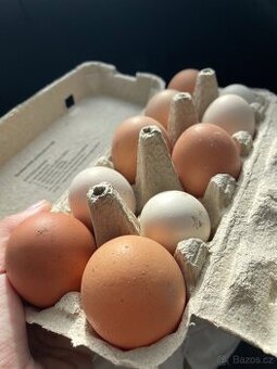 Domácí vajíčka