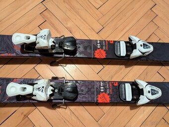 Lyže Salomon Lord 185 (včetně vázání Salomon)