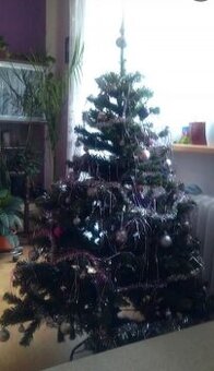 Umělý vánoční stromek. dekorace. bytové doplňky. bez ozdob.