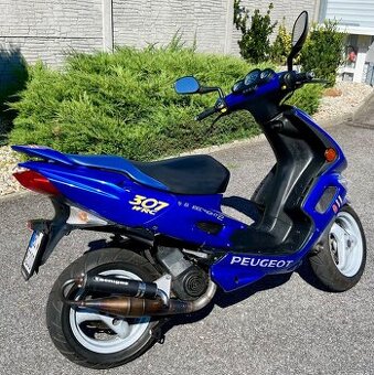 Peugeot SPEEDFIGHT 2 - 100