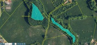 Prodám lesní pozemky v k. ú. Zboží u Nové Paky