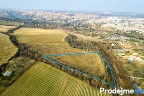 Prodej zemědělské půdy, 7 123 m2 - Nový Šaldorf-Sedlešovice - 1