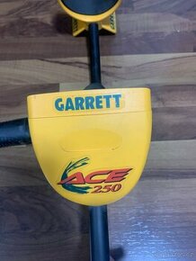 Garrett ace 250 + SEF + GP pointer - 1