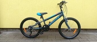 Dětské kolo Arcore 20"