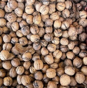 Domácí neloupané ořechy