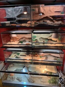 Terárium 60x40x30 s 3D stěnou