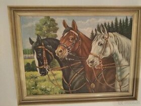 Obraz koní