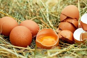 Domácí vejce