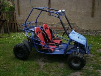 buggy - 1