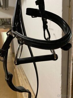 Hackamore