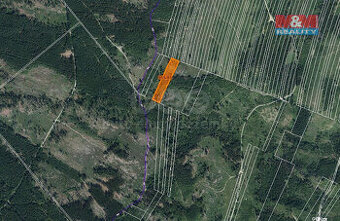 Prodej lesa, 6092 m², Nová Hradečná