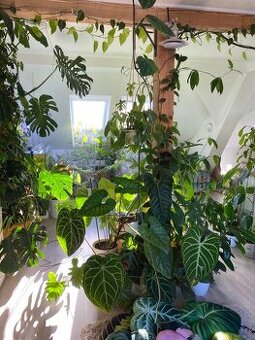 Pomoc s průzkumem trhu