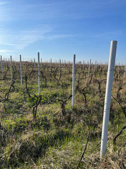 Vinohradnické sloupky