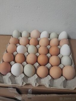 Domácí vejce