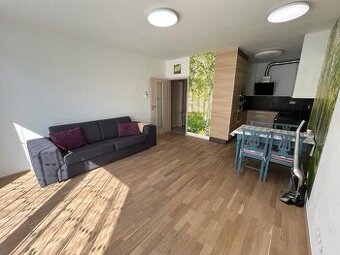 Pronájem krásného slunného bytu + garáže (Olomouc)