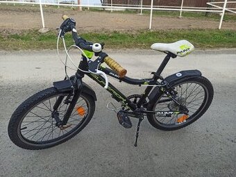 dětské horské kolo SUPERIOR Paint 20