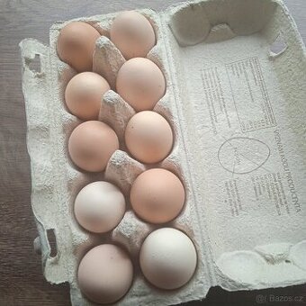 Domácí vejce