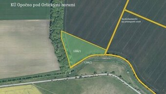 Zemědělská půda, prodej, Opočno, Rychnov nad Kněžnou