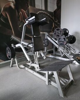 V SQUAT - 1